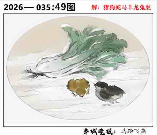 035期49图[图]